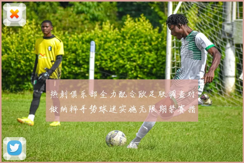 热刺俱乐部全力配合欧足联调查对做纳粹手势球迷实施无限期禁赛措施